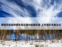 爱德华兹森林狼生涯总得分超越乐福 上升至队史第五位