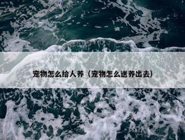 宠物怎么给人养（宠物怎么送养出去）