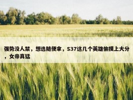 强势没人禁，想选随便拿，S37这几个英雄偷摸上大分，女帝真猛