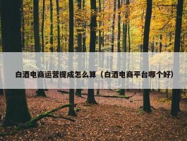 白酒电商运营提成怎么算（白酒电商平台哪个好）