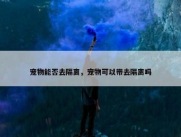 宠物能否去隔离，宠物可以带去隔离吗