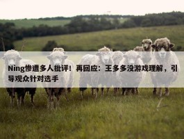 Ning惨遭多人批评！再回应：王多多没游戏理解，引导观众针对选手