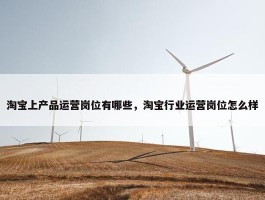 淘宝上产品运营岗位有哪些，淘宝行业运营岗位怎么样