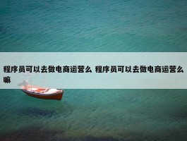 程序员可以去做电商运营么 程序员可以去做电商运营么嘛