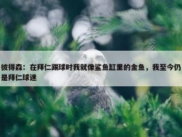 彼得森：在拜仁踢球时我就像鲨鱼缸里的金鱼，我至今仍是拜仁球迷