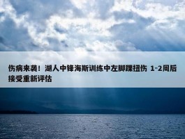 伤病来袭！湖人中锋海斯训练中左脚踝扭伤 1-2周后接受重新评估