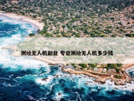 测绘无人机副业 专业测绘无人机多少钱