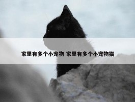 家里有多个小宠物 家里有多个小宠物猫