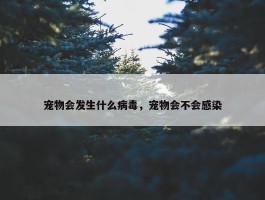 宠物会发生什么病毒，宠物会不会感染