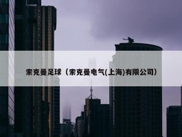 索克曼足球（索克曼电气(上海)有限公司）