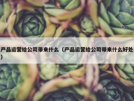 产品运营给公司带来什么（产品运营给公司带来什么好处）