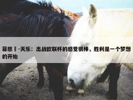 菲慈佔-天乐：出战欧联杯的感觉很棒，胜利是一个梦想的开始