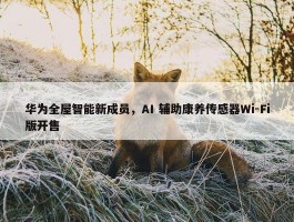 华为全屋智能新成员，AI 辅助康养传感器Wi-Fi版开售