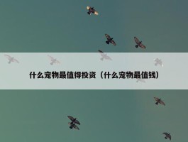 什么宠物最值得投资（什么宠物最值钱）