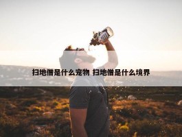 扫地僧是什么宠物 扫地僧是什么境界