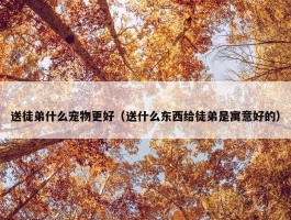 送徒弟什么宠物更好（送什么东西给徒弟是寓意好的）