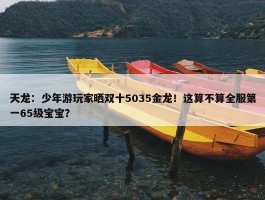 天龙：少年游玩家晒双十5035金龙！这算不算全服第一65级宝宝？