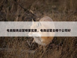 电商服务运营哪里实惠，电商运营去哪个公司好