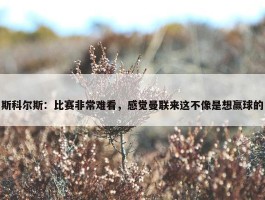 斯科尔斯：比赛非常难看，感觉曼联来这不像是想赢球的