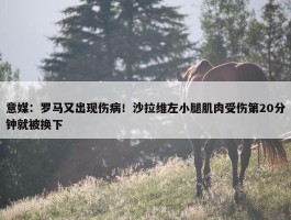 意媒：罗马又出现伤病！沙拉维左小腿肌肉受伤第20分钟就被换下