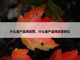 什么是产品线运营，什么是产品线运营岗位