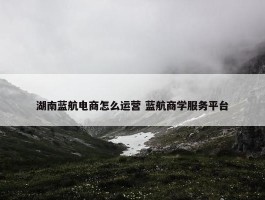 湖南蓝航电商怎么运营 蓝航商学服务平台