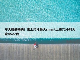 车大就是畅销！史上尺寸最大smart上市72小时大定4527台