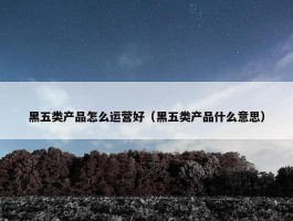 黑五类产品怎么运营好（黑五类产品什么意思）