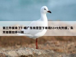 第三外援来了？曝广东有意签下单场53+9大外援，朱芳雨要放手一搏