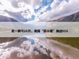 卖一辆亏28万，美国“蔚小理”躺进ICU