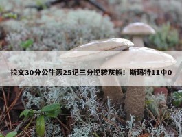 拉文30分公牛轰25记三分逆转灰熊！斯玛特11中0