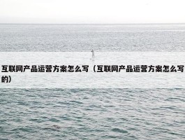 互联网产品运营方案怎么写（互联网产品运营方案怎么写的）