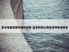 蓝禾电商运营待遇如何样 蓝禾科技公司在深圳电商排名