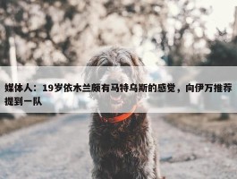 媒体人：19岁依木兰颇有马特乌斯的感觉，向伊万推荐提到一队