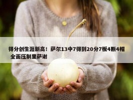 得分创生涯新高！萨尔13中7得到20分7板4断4帽 全面压制里萨谢