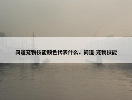 问道宠物技能颜色代表什么，问道 宠物技能