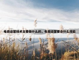 电商运营技术主要做什么的，电商运营要会什么技能