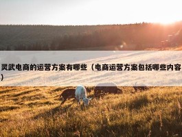 灵武电商的运营方案有哪些（电商运营方案包括哪些内容）