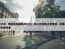 北青：费南多腿部肌肉拉伤；阿兰恢复情况更理想，武磊仍需观察