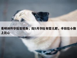 麦明诗怀孕后首现身，挺5月孕肚有婴儿肥，手放在小腹上比心