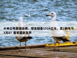 小米公布最强业绩，现金储备1516亿元，卖1辆车亏3万8？雷军最新发声