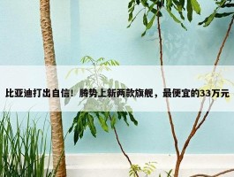 比亚迪打出自信！腾势上新两款旗舰，最便宜的33万元