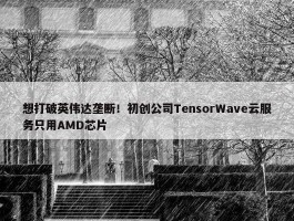 想打破英伟达垄断！初创公司TensorWave云服务只用AMD芯片