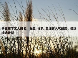 于正旗下艺人排名：白鹿_许凯_吴谨言人气最高，聂远成功转型