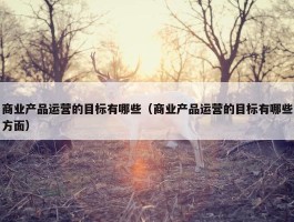 商业产品运营的目标有哪些（商业产品运营的目标有哪些方面）