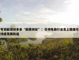 专家解读拼多多“新质供给”：引领电商行业走上健康可持续发展轨道