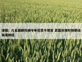 津媒：几名国脚伤病令申花苦不堪言 武磊伤情时刻牵动海港神经