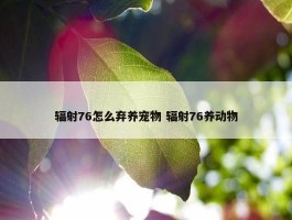 辐射76怎么弃养宠物 辐射76养动物