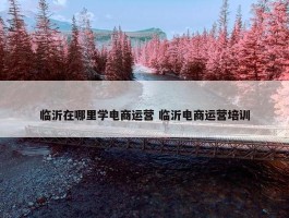 临沂在哪里学电商运营 临沂电商运营培训