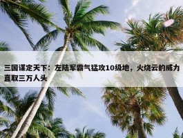 三国谋定天下：左陆军霸气猛攻10级地，火烧云的威力直取三万人头